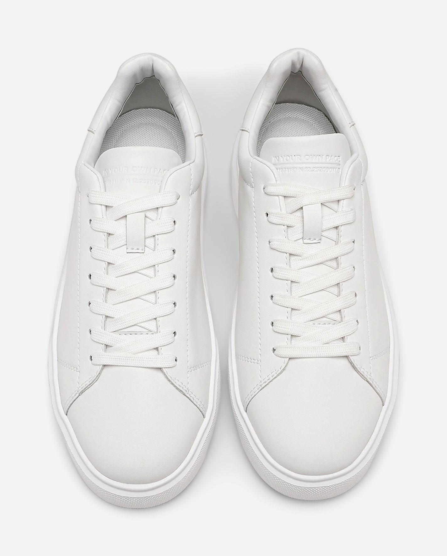 PACE, Sneakers Vita